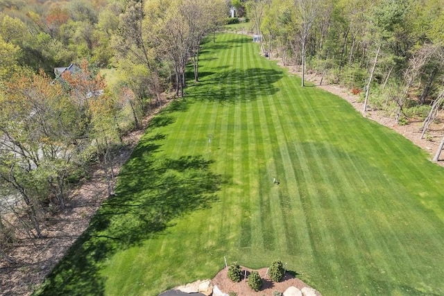 117 Mann School Rd, Smithfield, RI 02917 - bird's eye view of a heavily wooded area