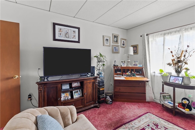 510 Child St Unit 105B, Warren, RI 02885 - view of carpeted living room