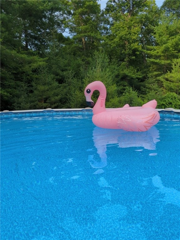 187 Plainfield Pike, Scituate, RI 02857 - view of outdoor pool