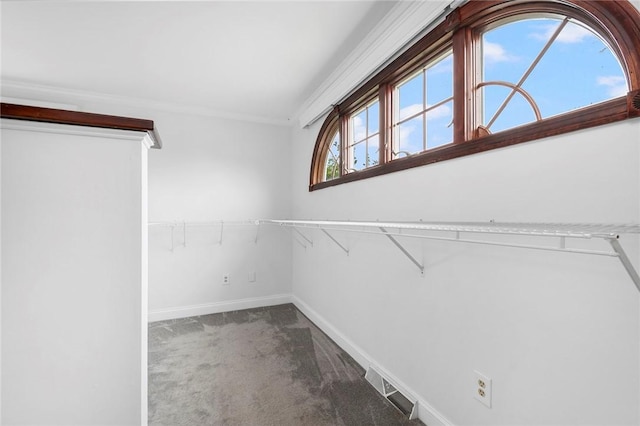 3 Ernest St, Newport, RI 02840 - walk in closet with carpet floors