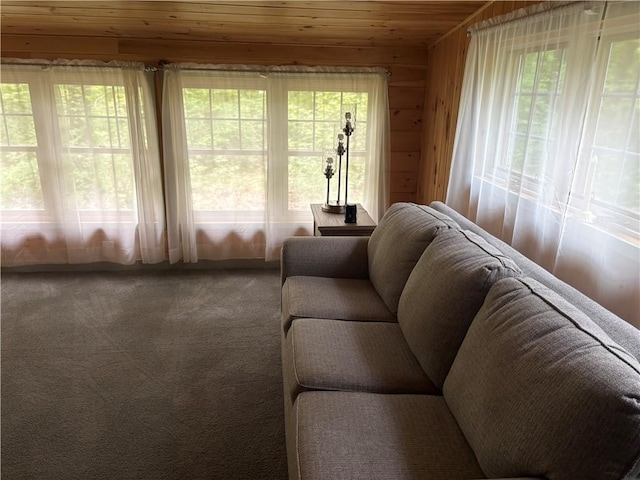 85 Plainfield Pike, Foster, RI 02825 - living room with healthy amount of natural light, wood ceiling, carpet floors, and wooden walls