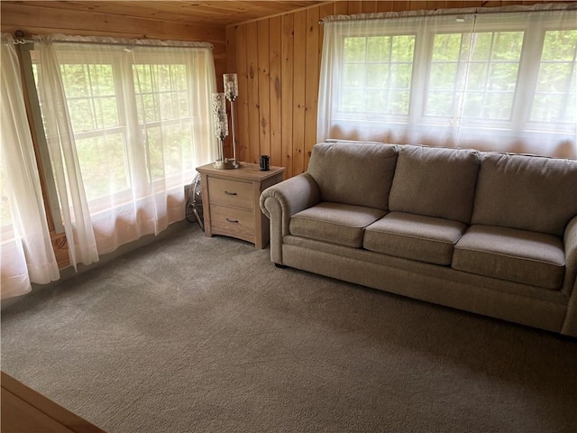 85 Plainfield Pike, Foster, RI 02825 - living room with light carpet, plenty of natural light, wood walls, and wood ceiling
