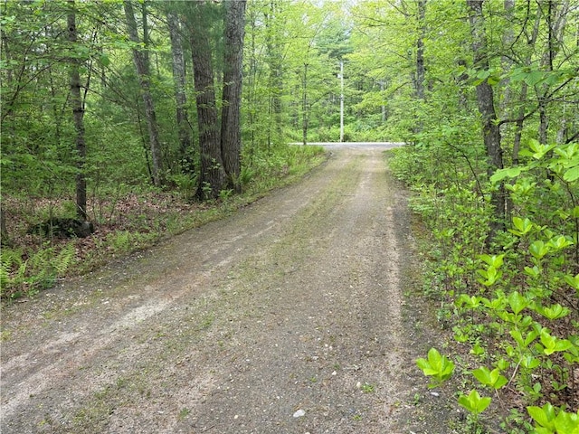 85 Plainfield Pike, Foster, RI 02825 - view of street with a wooded view
