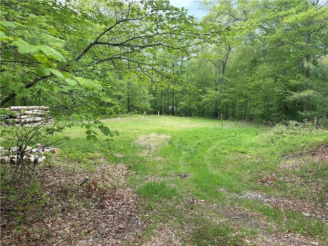85 Plainfield Pike, Foster, RI 02825 - view of yard with a view of trees