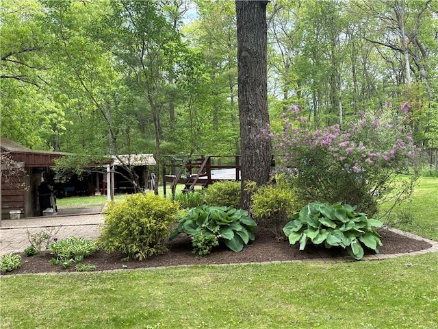 85 Plainfield Pike, Foster, RI 02825 - view of green lawn