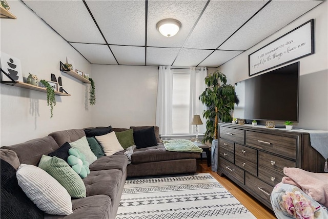 23 Auburn St, Pawtucket, RI 02860 - living area with a drop ceiling and light wood-style floors