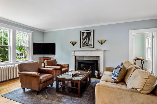 27 Cranston Ave, Newport, RI 02840 - living area featuring radiator heating unit, crown molding, a fireplace with flush hearth, and wood finished floors