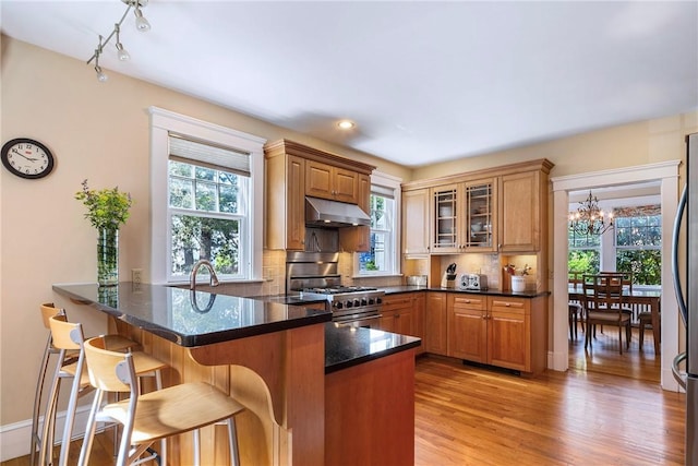 27 Cranston Ave, Newport, RI 02840 - kitchen with under cabinet range hood, appliances with stainless steel finishes, a breakfast bar, a peninsula, and decorative backsplash