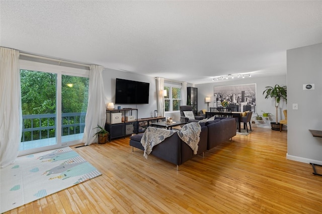 5390 Post Rd Unit 9, Warwick, RI 02818 - living room featuring light wood-type flooring and rail lighting