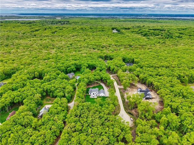 1 Hinter Way, Little Compton, RI 02837 - drone / aerial view of a forest