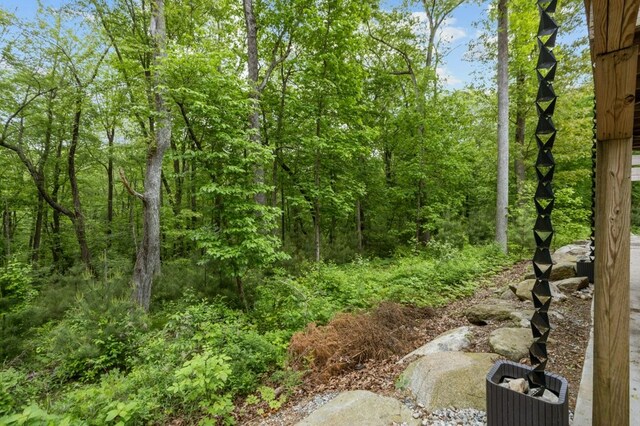 45 Lloyd Bowen Ct, Glocester, RI 02814 - view of yard with a view of trees