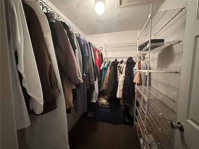 53 Morgan Ct, North Kingstown, RI 02852 - spacious closet with carpet flooring