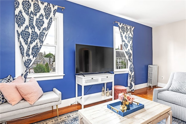 165 Wentworth Ave Unit 2E, Cranston, RI 02905 - living room featuring radiator heating unit, plenty of natural light, wood finished floors, and baseboards
