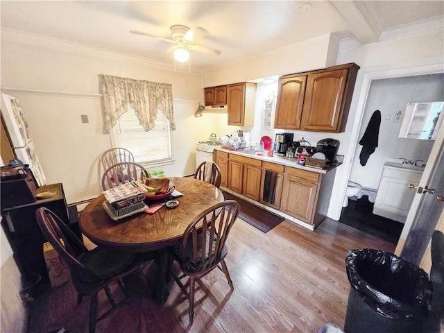 106 Baxter St, Pawtucket, RI 02861 - dining room with dark wood finished floors, ornamental molding, and ceiling fan