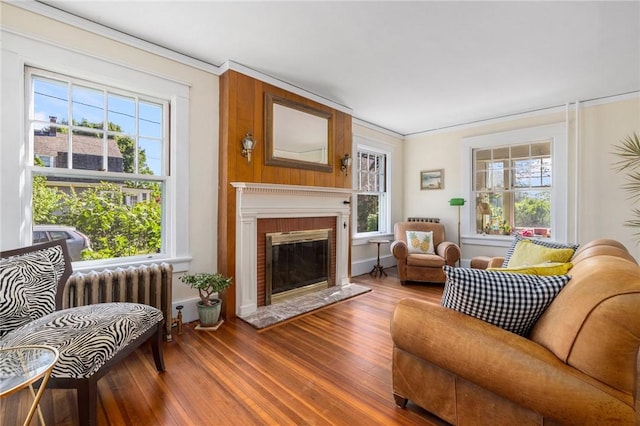 130 Highland Rd, Tiverton, RI 02878 - living room with radiator, plenty of natural light, wood finished floors, a glass covered fireplace, and crown molding