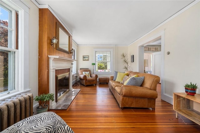 130 Highland Rd, Tiverton, RI 02878 - living area with radiator, a fireplace, wood finished floors, and crown molding