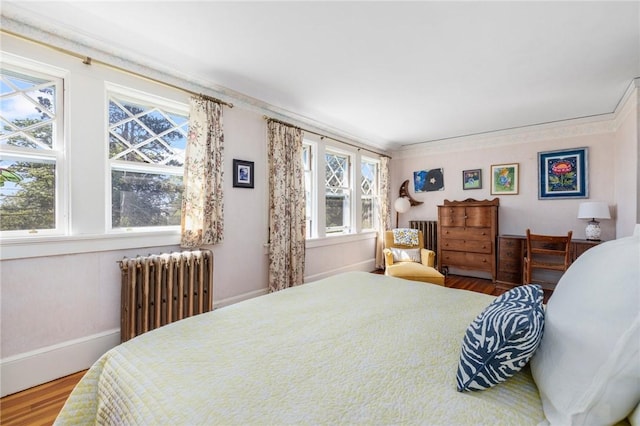 130 Highland Rd, Tiverton, RI 02878 - bedroom featuring radiator heating unit and wood finished floors