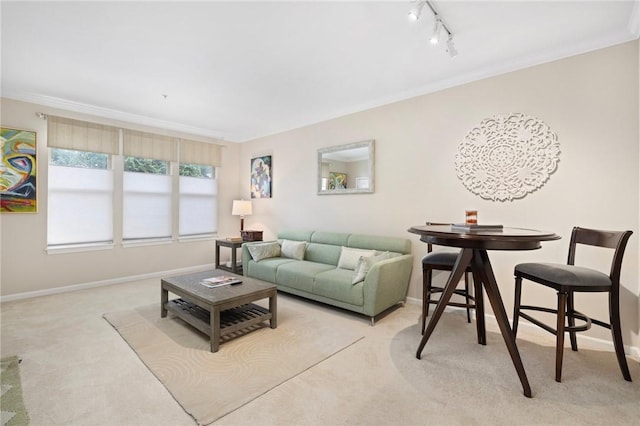 1000 Providence Pl Unit 142, Providence, RI 02903 - living room with light carpet, track lighting, crown molding, and baseboards