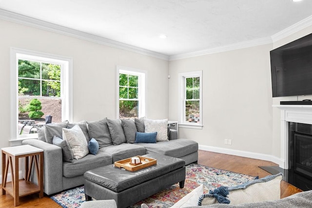 13 Vincent Way, Cumberland, RI 02864 - living area featuring crown molding, wood finished floors, a fireplace with flush hearth, baseboards, and recessed lighting