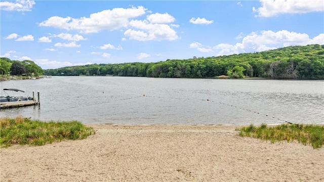 21 Meadowrue Trl, Narragansett, RI 02874 - water view featuring a forest and a boat dock