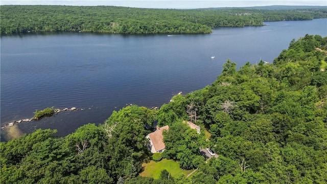 94 S Shore Rd, Burrillville, RI 02859 - aerial view of a heavily wooded area and a large body of water