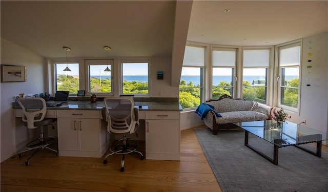 1448 Mohegan Trl, Block Island, RI 02807 - home office with light wood-style flooring and healthy amount of natural light