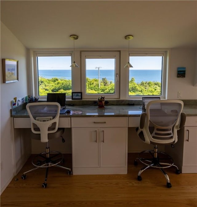 1448 Mohegan Trl, Block Island, RI 02807 - office area with light wood-type flooring and healthy amount of natural light