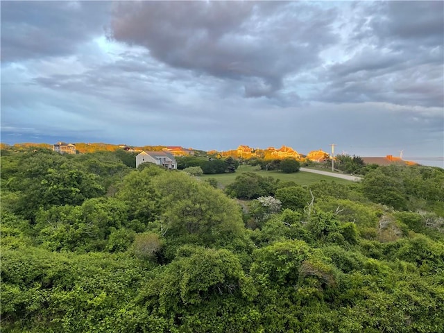 1448 Mohegan Trl, Block Island, RI 02807 - view of undeveloped land