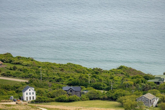 1448 Mohegan Trl, Block Island, RI 02807 - bird's eye view of a forest