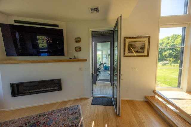 1448 Mohegan Trl, Block Island, RI 02807 - foyer entrance with light wood-style floors, plenty of natural light, a glass covered fireplace, and baseboards