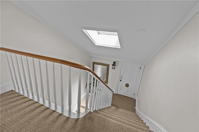 4 Red Cross Ave Unit 4, Newport, RI 02840 - stairway with a skylight, carpet flooring, ornamental molding, and lofted ceiling