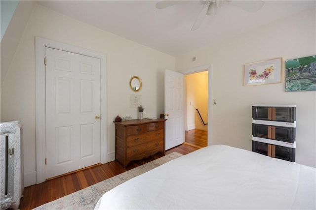 16 Malvern Ave, Cranston, RI 02905 - bedroom with wood finished floors, radiator, and ceiling fan