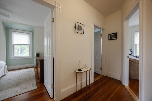 16 Malvern Ave, Cranston, RI 02905 - hallway featuring dark wood finished floors, baseboards, and radiator heating unit
