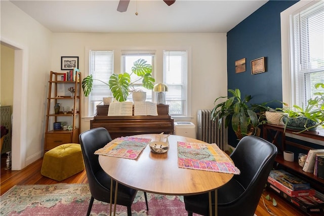 16 Malvern Ave, Cranston, RI 02905 - dining space with ceiling fan, wood finished floors, radiator, and baseboards
