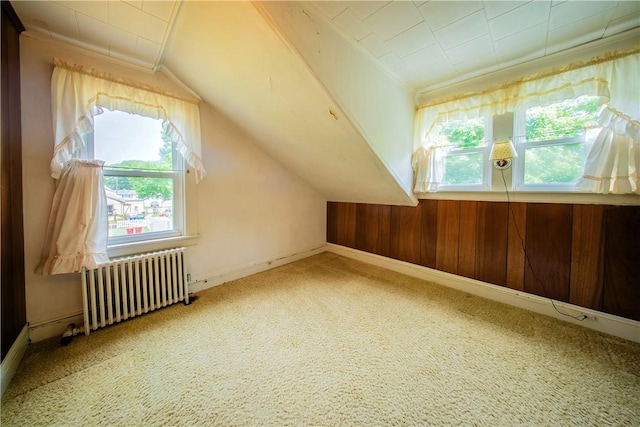 102 Buttonwoods Ave, Warwick, RI 02886 - additional living space with radiator heating unit, carpet flooring, wooden walls, vaulted ceiling, and baseboards