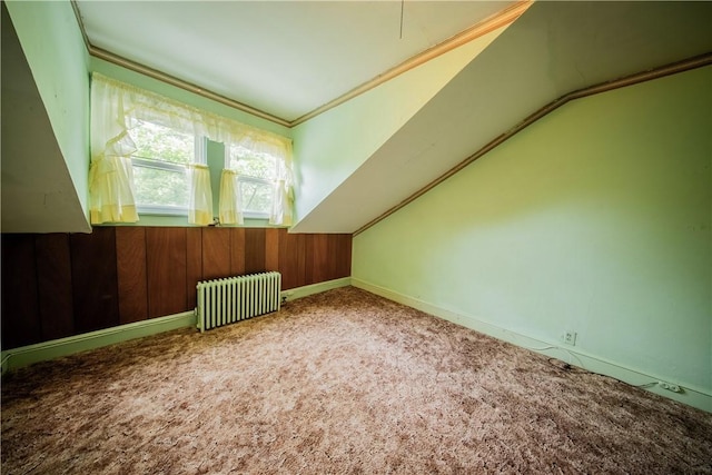 102 Buttonwoods Ave, Warwick, RI 02886 - bonus room featuring radiator heating unit, carpet, lofted ceiling, and baseboards