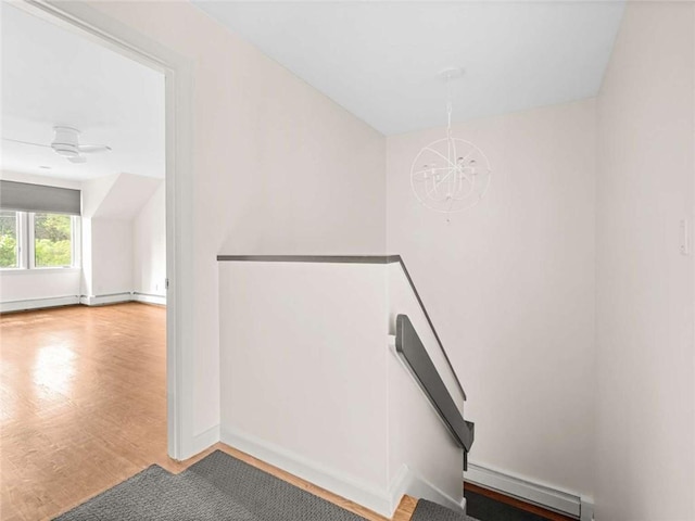 189 Laurel Ave, Providence, RI 02906 - photo 19