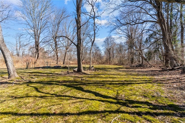 81 Old N Rd, South Kingstown, RI 02881 - view of grassy yard