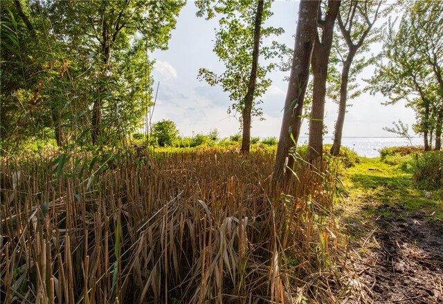 0 Surf Dr, Bristol, RI 02809 - view of undeveloped land featuring a large body of water