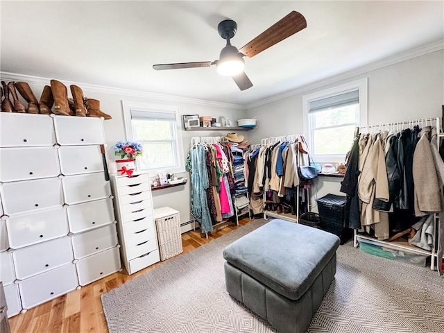 1 Sharp St, Coventry, RI 02816 - walk in closet with light wood-style flooring, ceiling fan, and a baseboard heating unit