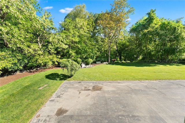 99 Post Rd Unit F1, Warwick, RI 02888 - view of grassy yard