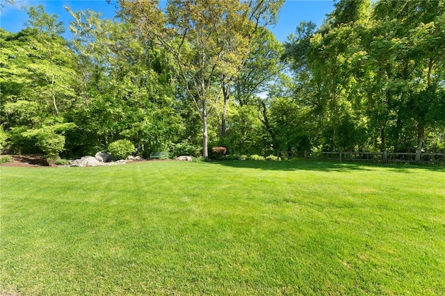 99 Post Rd Unit F1, Warwick, RI 02888 - view of yard
