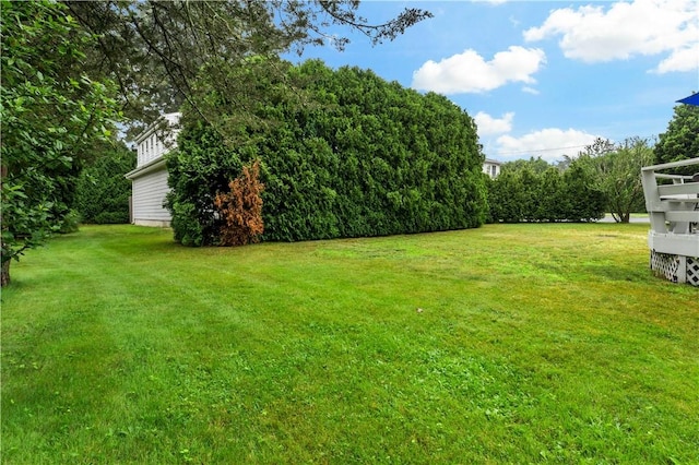 86 Winnapaug Rd, Westerly, RI 02891 - view of green lawn