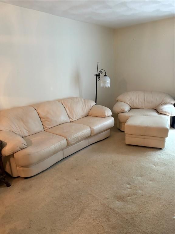 37 Trellis Dr Unit 37, West Warwick, RI 02893 - living room featuring light carpet