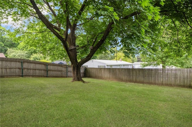 80 Flagg Ave, Warwick, RI 02886 - view of yard