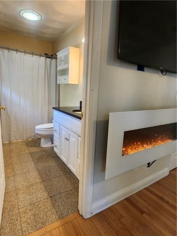 49 Wine St, Cranston, RI 02920 - bathroom featuring a lit fireplace, toilet, vanity, and a shower with shower curtain