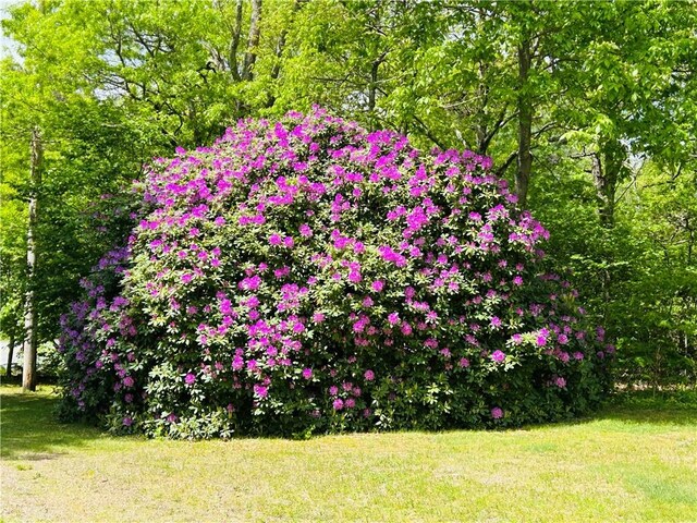716 Victory Hwy, West Greenwich, RI 02817 - photo 41