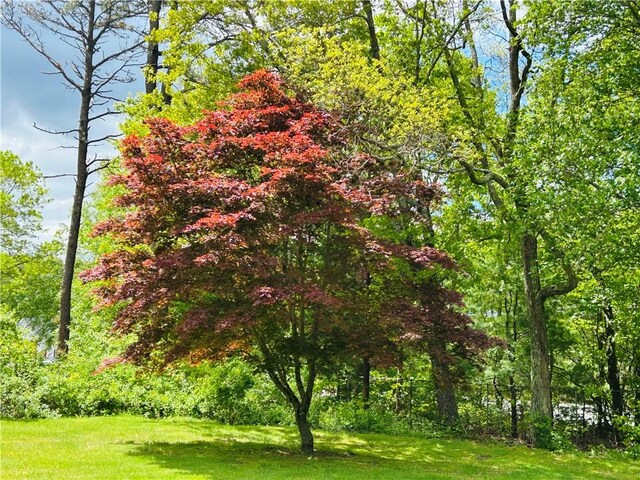 716 Victory Hwy, West Greenwich, RI 02817 - photo 42
