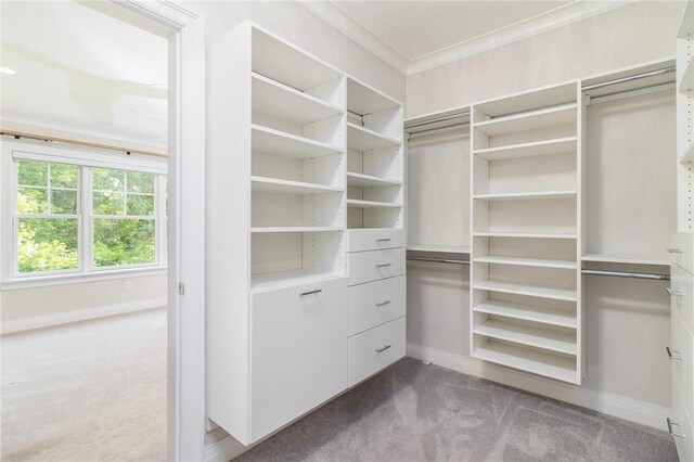 23 Middleberry Ln, East Greenwich, RI 02818 - spacious closet featuring carpet flooring