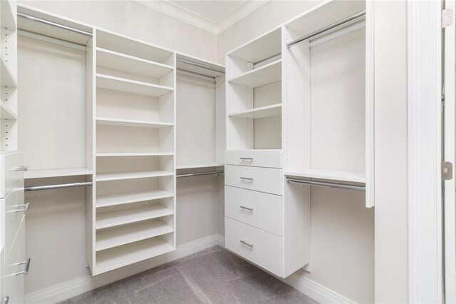 23 Middleberry Ln, East Greenwich, RI 02818 - spacious closet with carpet flooring